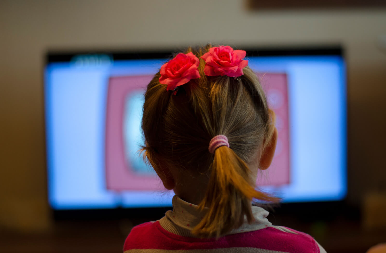 Little girl watching tv on a television and sitting too close on the  television screen.